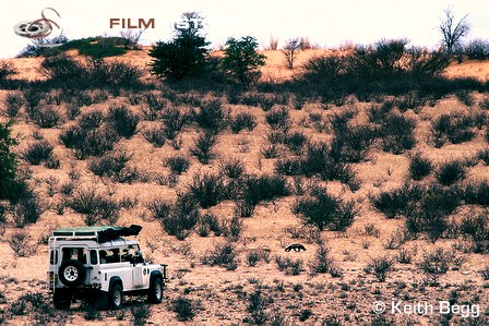 David and Carol Hughes filming Badger Quest: The Honey Hunters of Niassa