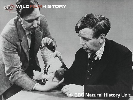 James Fisher (right) presenting On Being A Bird, with Eric Simms