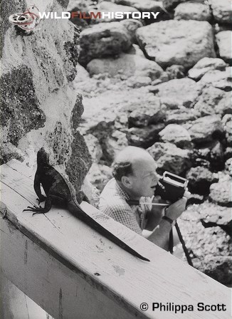 Peter Scott filming marine iguanas in the Galapagos