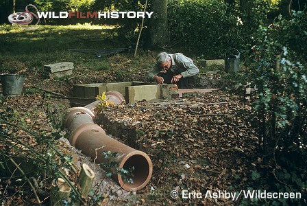 Eric Ashby building a fox den in order to film behaviour