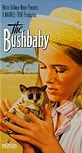 The Bushbaby - Cinema Poster