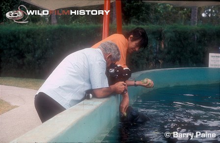 Tony Soper feeds a manatee