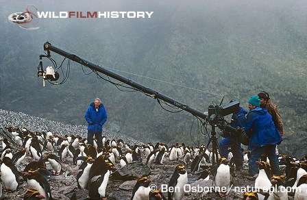 Filming David Attenborough in a macaroni penguin colony using a jib arm for Life in the Freezer