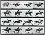 Eadweard Muybridge's time-lapse photographs of a man riding a galloping horse