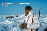 Mike Salisbury with walrus in background on location for Life in the Freezer