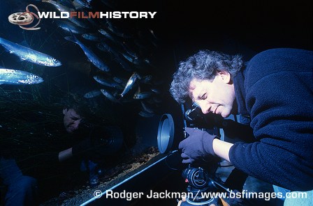 Rodger Jackman filming herring in a studio tank for At the Edge of the Sea