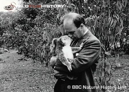 Peter Scott holding koala