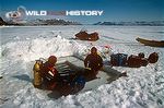 Doug Allan and underwater film crew preparing to dive beneath sea for Life in the Freezer