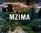 Mzima: Portrait of a Spring 