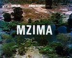 Mzima - an emerald oasis