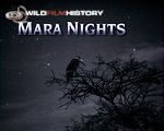 Starlight cameras reveal the nature of life in the dark, on the Masai Mara