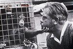 Gerald Durrell giving grapes to a caged chimp during the filming of Catch me a Colobus