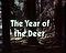 The Year of the Deer