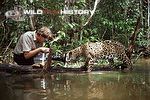 Nick Gordon filming a wild jaguar