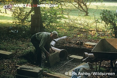 Eric Ashby building a fox den