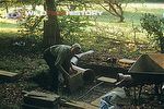 Eric Ashby building a fox den