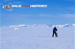 Martin Saunders filming polar bears for The Wildlife Specials: Polar Bear