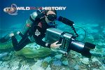 Peter Scoones filming underwater for The Blue Planet