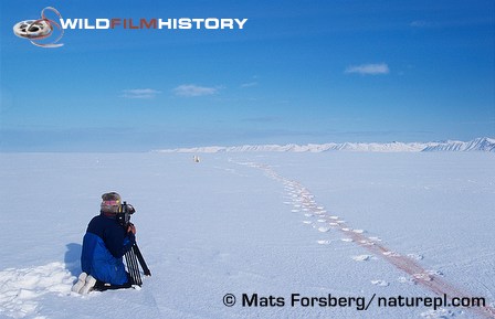 Martin Saunders filming polar bears for Kingdom of the Ice Bear 