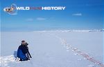 Martin Saunders filming polar bears for Kingdom of the Ice Bear 