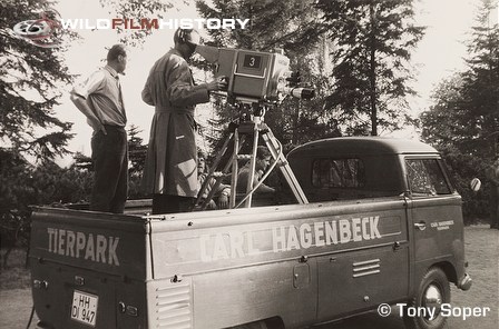 Tony Soper at Hagenbeck Zoo