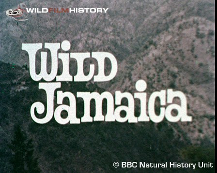 Jamaica's intrepid explorers