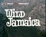 Jamaica's intrepid explorers