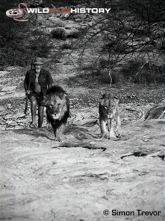 George Adamson with lions Boy and Christian