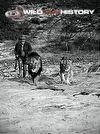 George Adamson with lions Boy and Christian