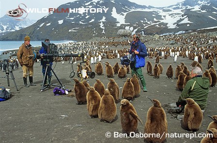 Sync crew using jib arm to film David Attenborough for Life in the Freezer