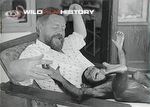 Gerald Durrell with a young chimpanzee named Jimmy, during filming for Catch me a Colobus