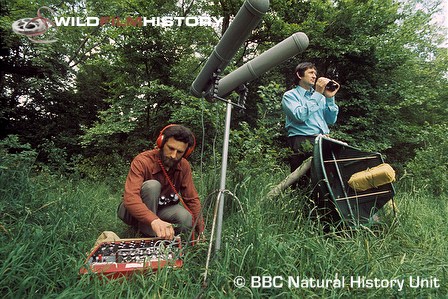 John F. Burton and David Tombs recording the sounds of wild birds in stereo, using gun microphones and a Nagra IV recorder