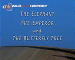 The Elephant, the Emperor and the Butterfly Tree: A most extraordinary tree