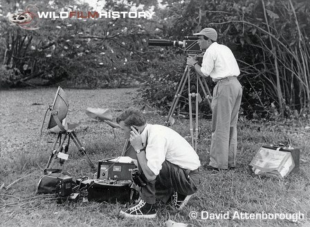 David Attenborough recording egret song and Charles Lagus filming, for Zoo Quest to Guiana