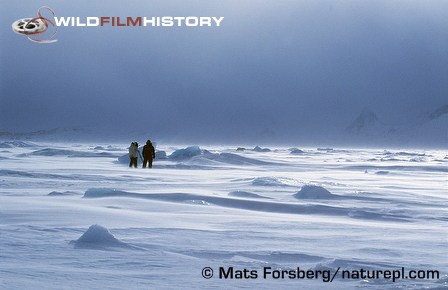 Martin Saunders filming a polar bear for The Wildlife Specials: Polar Bear