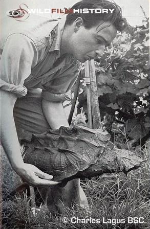 Charles Lagus with a mata mata turtle