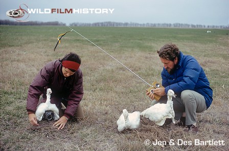 Des and Jen Bartlett setting up radio-controlled cameras under decoy snow geese