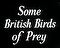 Some British Birds of Prey