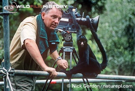 Nick Gordon on filming tower in rainforest with a spider monkey