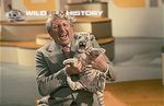 Johnny Morris with a white tiger cub in the studio for Animal Magic