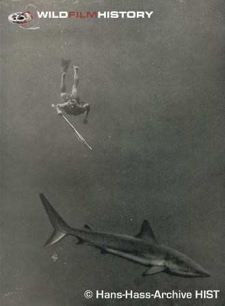 Hans Hass underwater while filming for Pirsch Unter Wasser