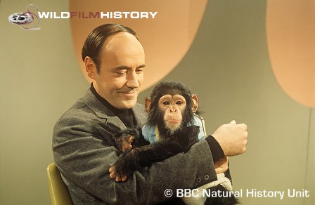 Desmond Morris on set for The Human Zoo