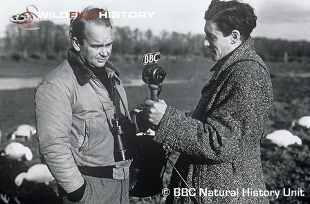 Desmond Hawkins interviewing Peter Scott for The Naturalist 