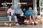 Bob Campbell with Des Bartlett and Alan Root, 2006