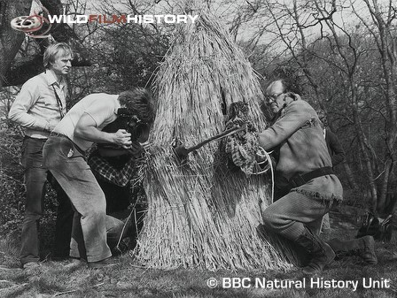 Filming of The Discovery Of Animal Behaviour