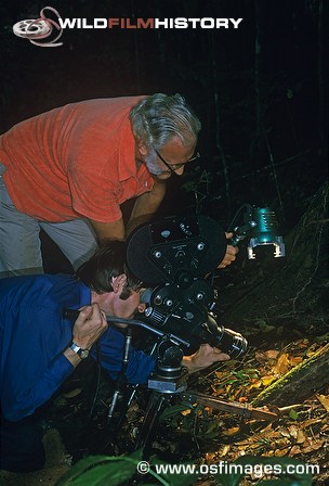 Gerald and David Thompson filming driver ants