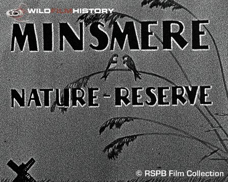 Welcome to Minsmere