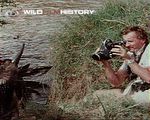 Wildlife camermen are monomaniacs