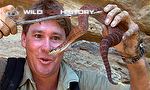 Steve Irwin