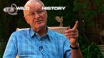 Julian Pettifer being interviewed for WildFilmHistory